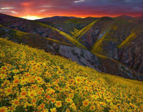 Топ потрясающих пейзажей