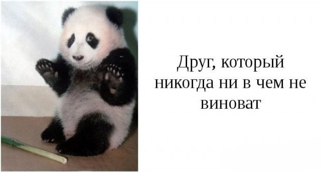 Категории друзей