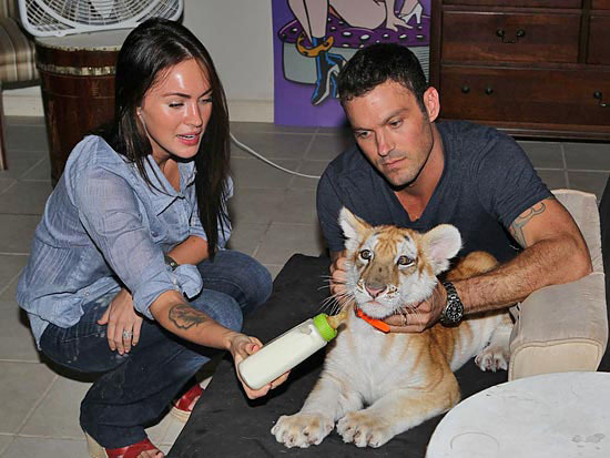 Меган Фокс, Брайан Остин Грин