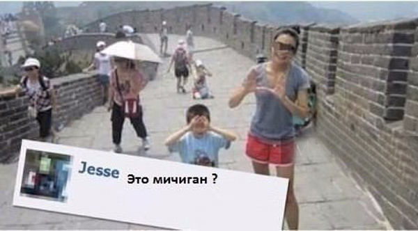 Подборка самых тупых комментариев в мире