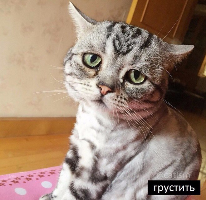 Когда ты мастер: