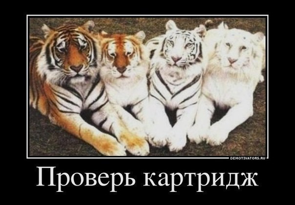 Прикольный демотиватор