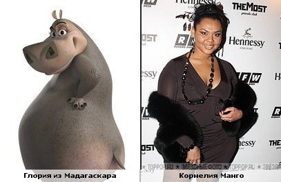 Смешные сходства