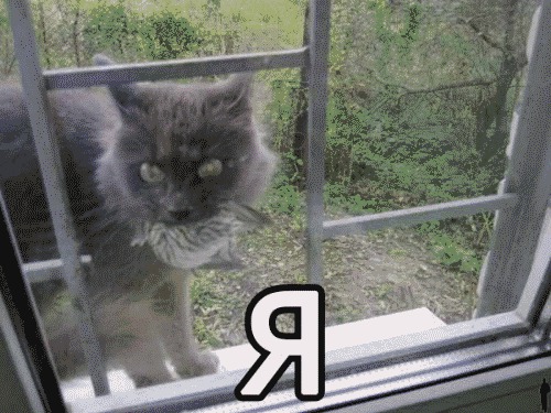 Ухажер моей котэ