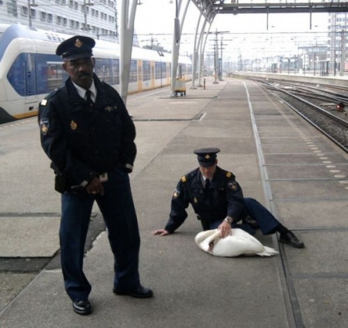 Жизнь - веселая штука