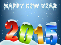 Новый год 2015