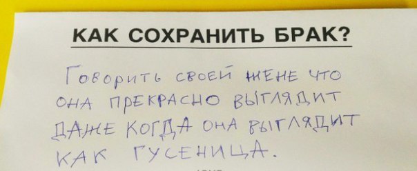 Перлы от школьников