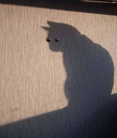 Ах, нет...показалось