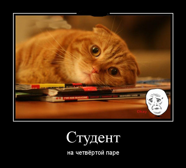 ТОП 15 лучших демотиваторов про студентов