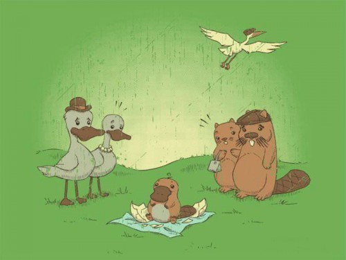 Юморные фотоприколы