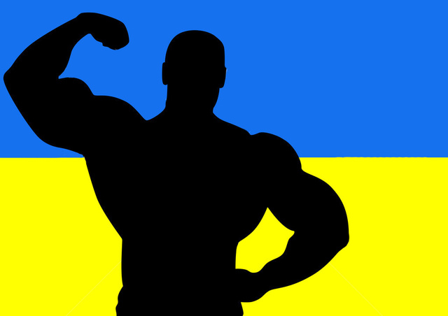 Сильная Украина