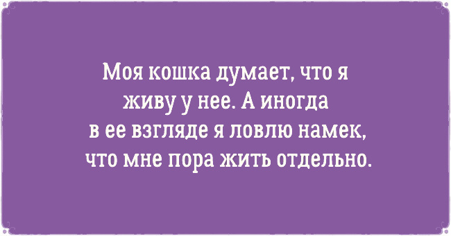 ТОП 10 приколов про котов