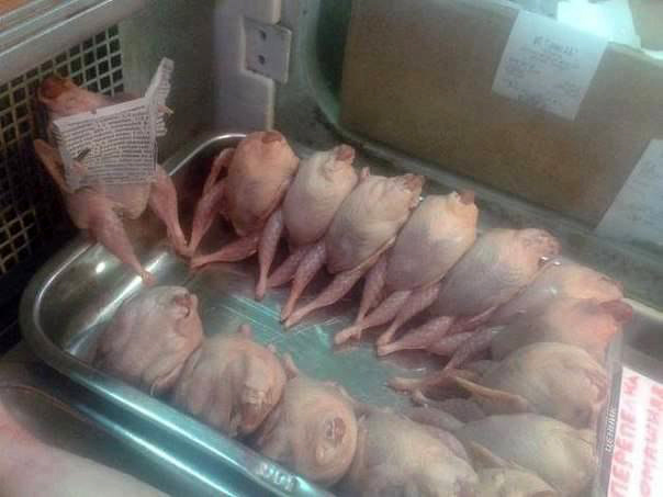 Заседание в Госдуме