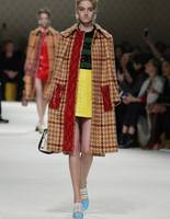 Miu Miu fw 15/16