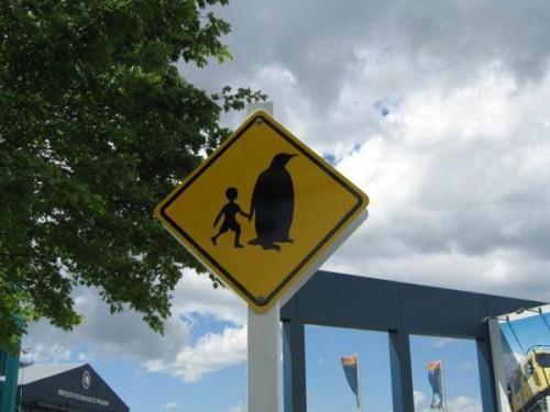 Смешные фото