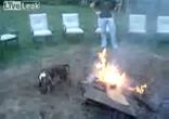 a_real_hot_dog