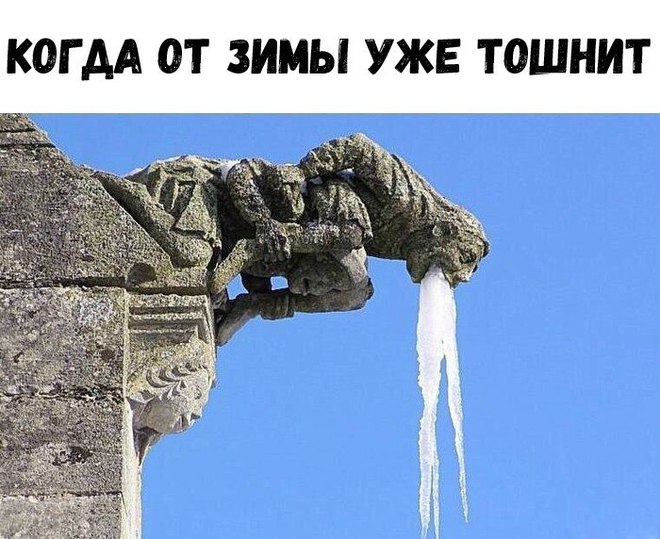 Скорей бы уже весна