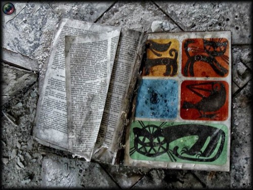 Чернобыль сейчас