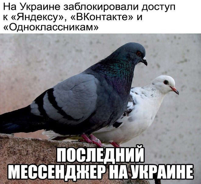 Последняя надежда