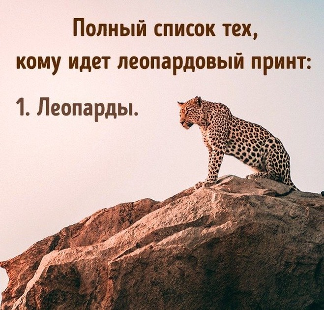 Леопардовый принт