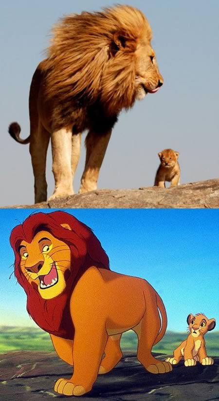 Король лев и его друзья в реальной жизни
