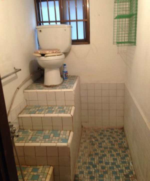 ТОП 15 туалетов, которые "стоит" посетить