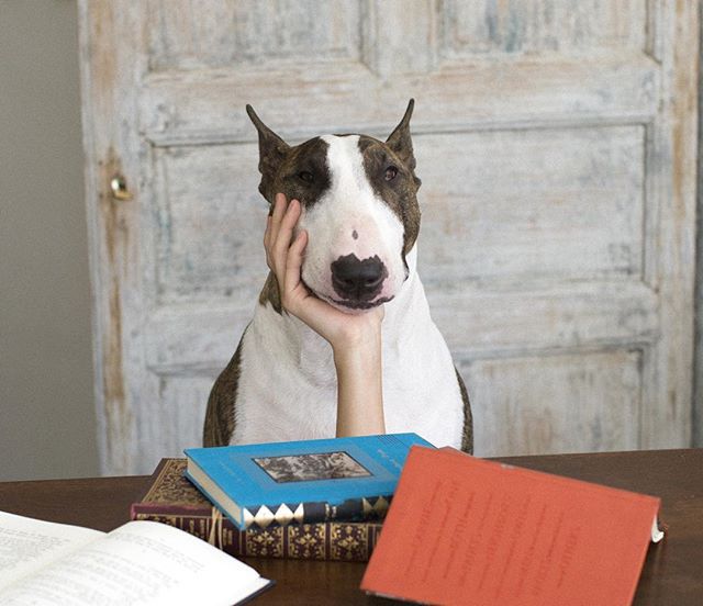 Невилл Джейкобс