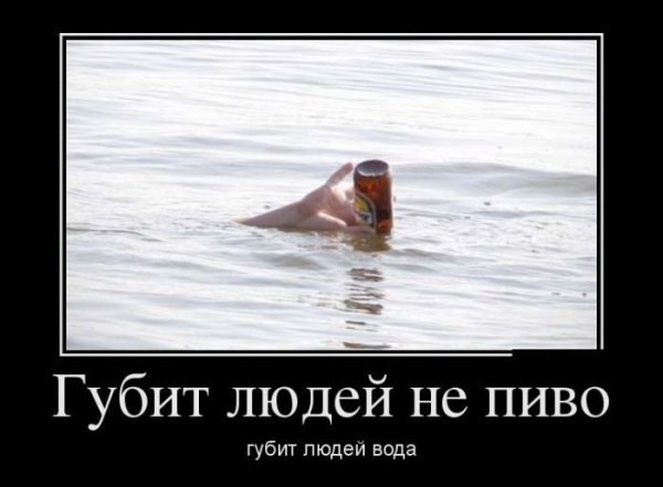 ТОП лучших демотиваторов