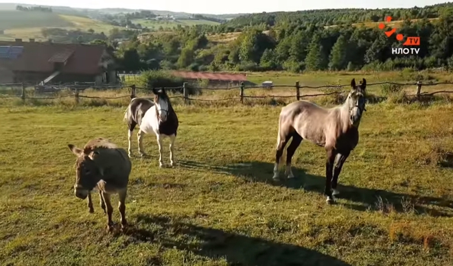 путешествия НЛО ТВ