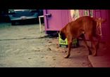 Rihanna - Man Down