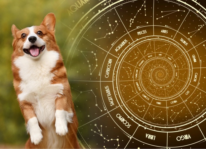 Найрозпусніші астрологічні знаки: ТОП-5