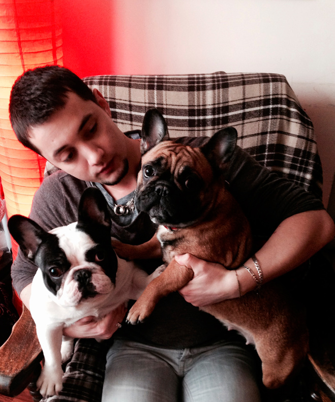 звездные питомцы