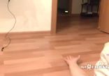 Упрямый охотник