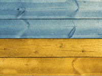 Патриотические досточки