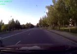 ПешеКот [ Кот знает правила дорожного движения ]