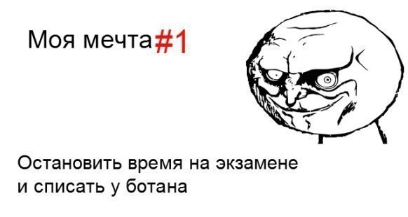 Мечта всех студентов