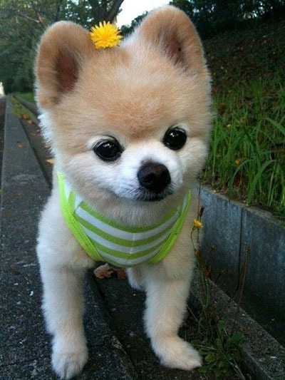 Маленькая рыжая очаровашка