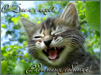 С днём смеха от котэ