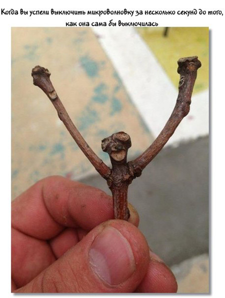 Предметы, которые отображают наши эмоции