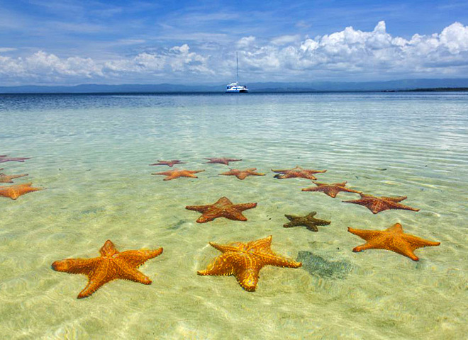 Пляж морских звезд Бока дель Драго