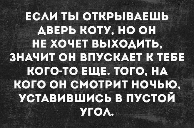 Я теперь не усну