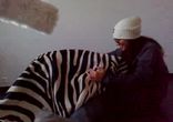 Зебра просто zebra))))))