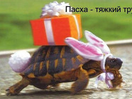 Прикольные открытки к Пасхе