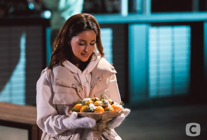 Злата Огневич