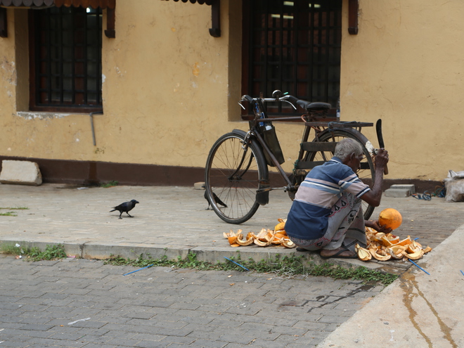 Дмитрий Каднай о Шри-Ланке: все, что вы не прочитаете в путеводителе об острове