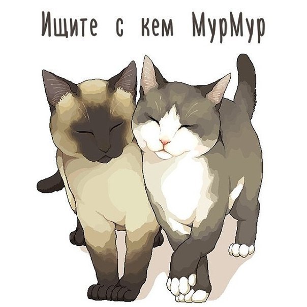 Жизнь мур! мур!