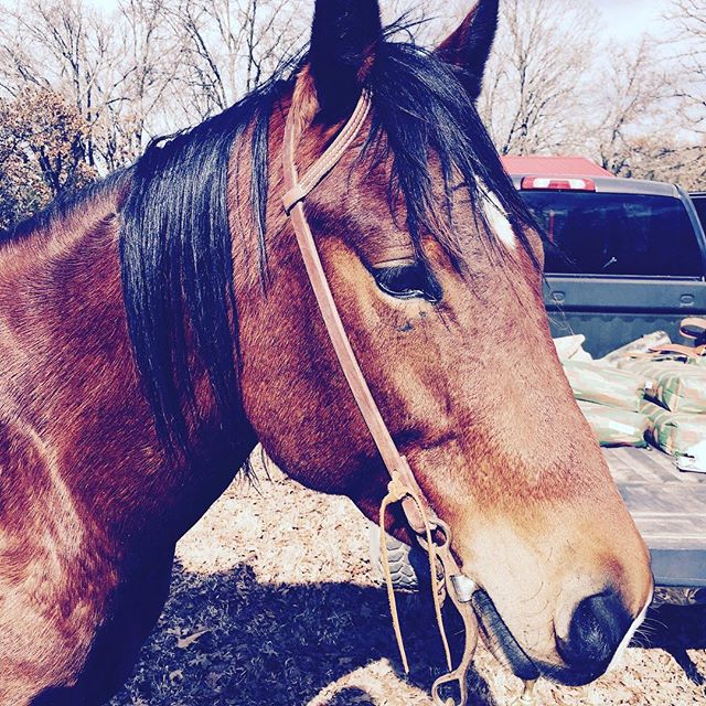 Гвен Стефани