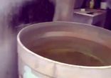 Забавная подборка с котами