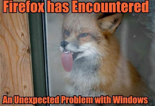FireFox имеет проблемы с Windows
