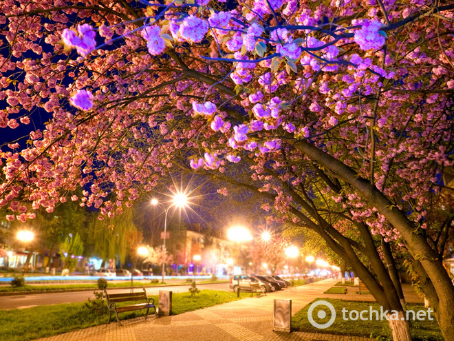 Топ-5 живописных мест Украины, которые стоит посетить весной